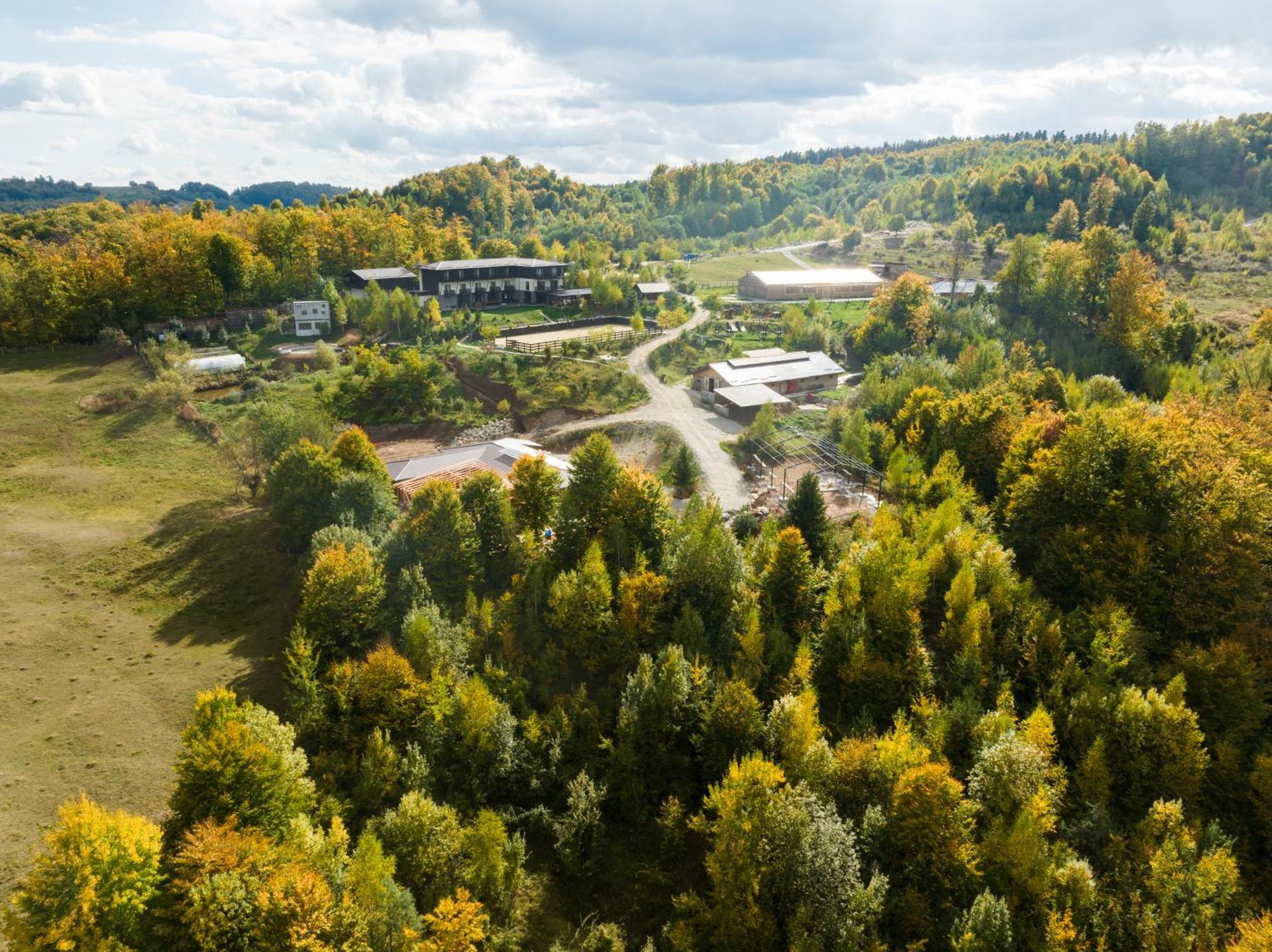 Potcoava Mountain Hideaway Hotel Runcu  Eksteriør billede