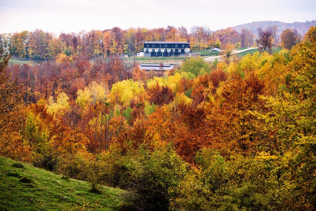 Potcoava Mountain Hideaway Hotel Runcu  Eksteriør billede