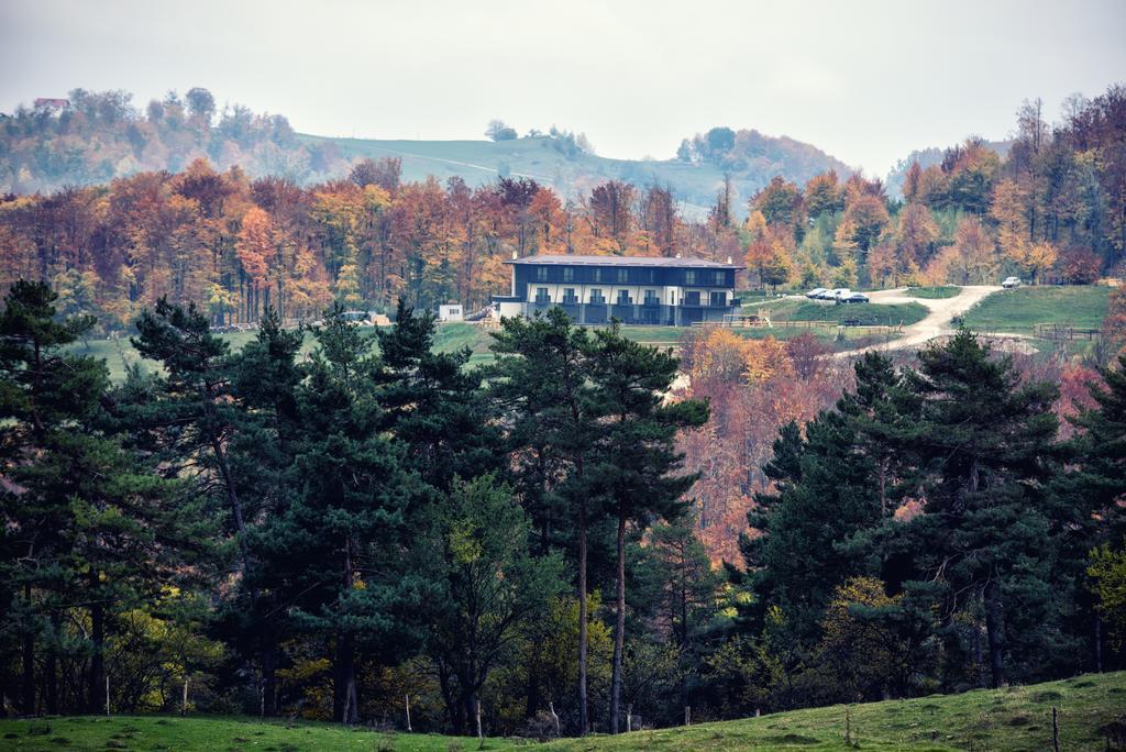 Potcoava Mountain Hideaway Hotel Runcu  Eksteriør billede