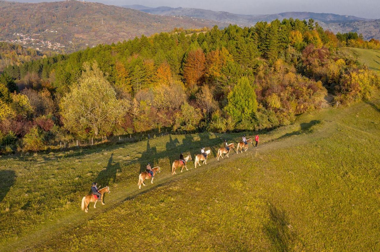 Potcoava Mountain Hideaway Hotel Runcu  Eksteriør billede